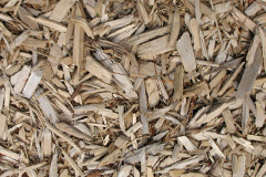 biomass boilers Garizim